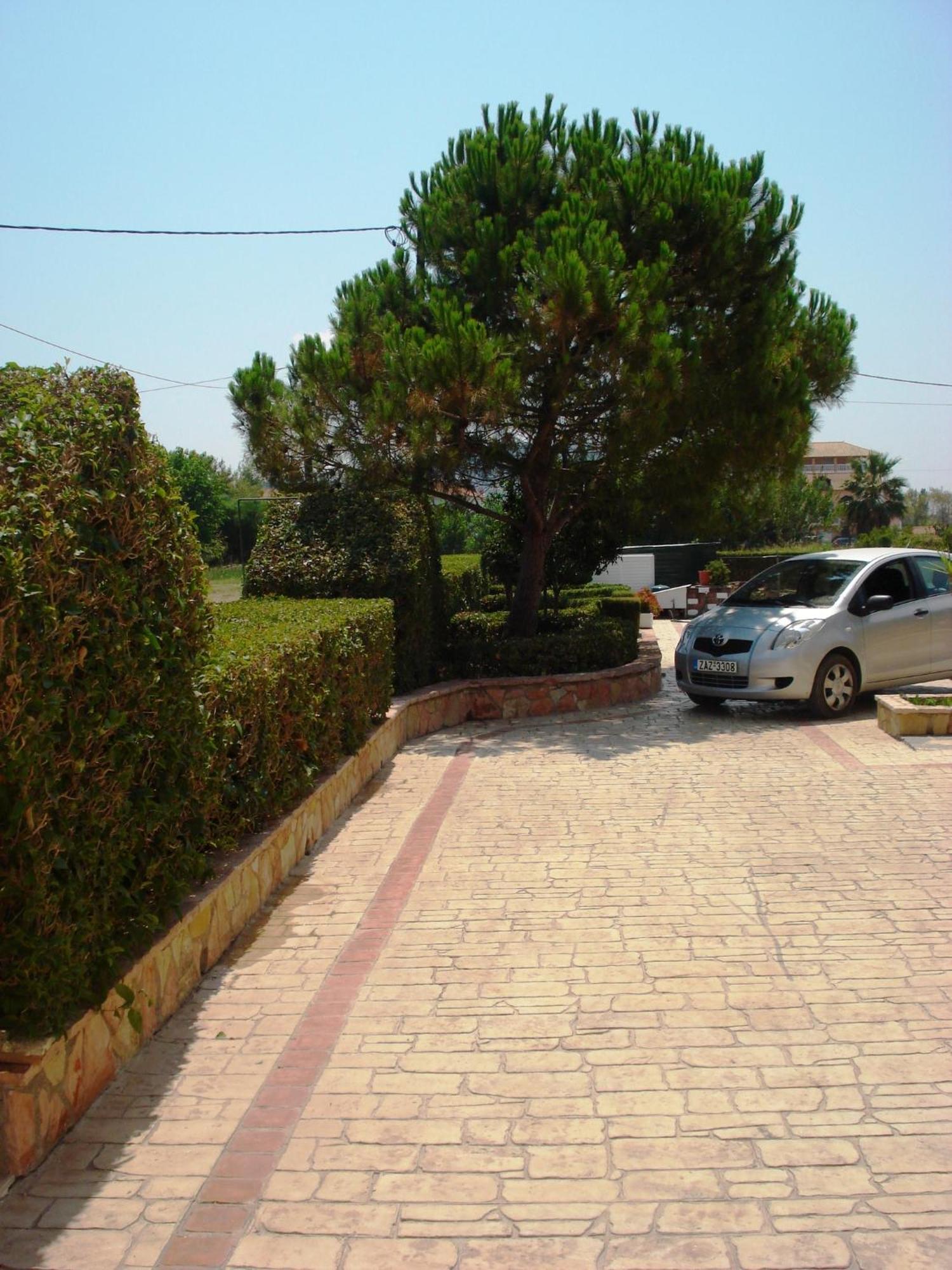 Sofia - Yiota Studios & Apartments Tsilivi  Exterior photo